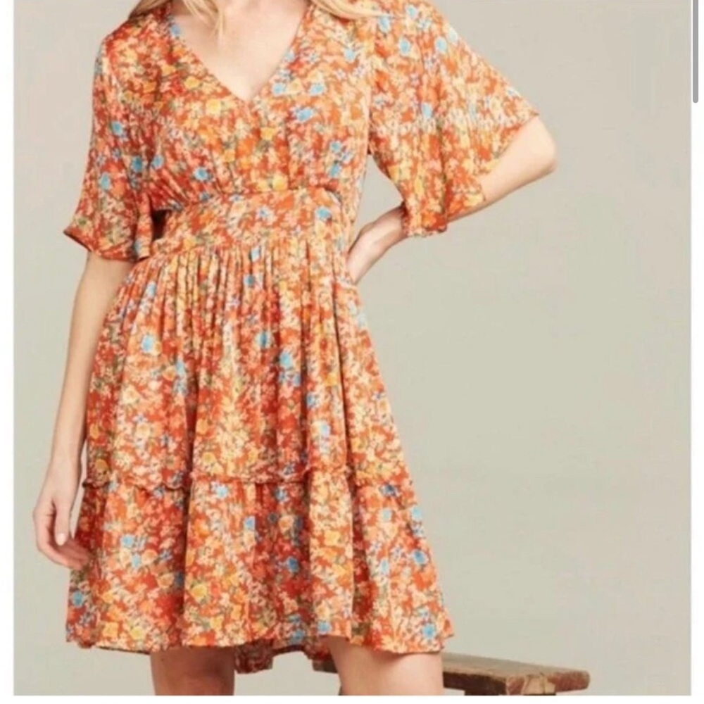 Roller rabbit dress never worn